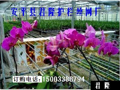供应温室苗床网